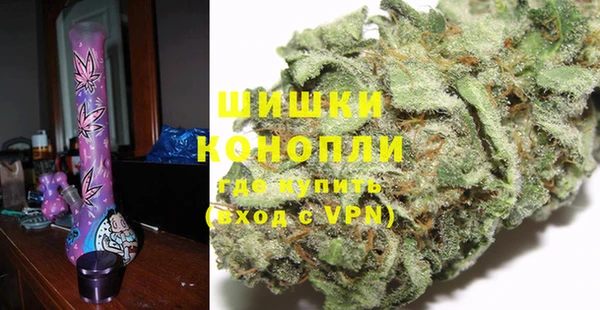ПСИЛОЦИБИНОВЫЕ ГРИБЫ Тавда