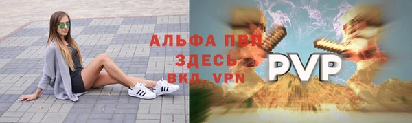 мяу мяу мука Сясьстрой