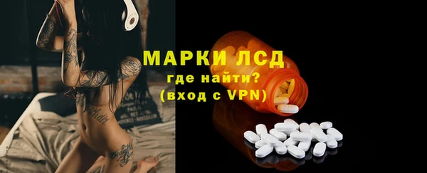 ПСИЛОЦИБИНОВЫЕ ГРИБЫ Тавда
