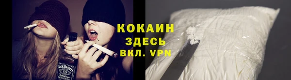 ПСИЛОЦИБИНОВЫЕ ГРИБЫ Тавда