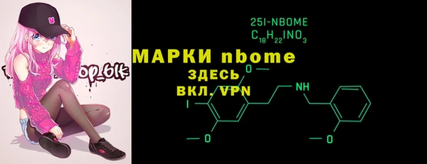 индика Михайловск