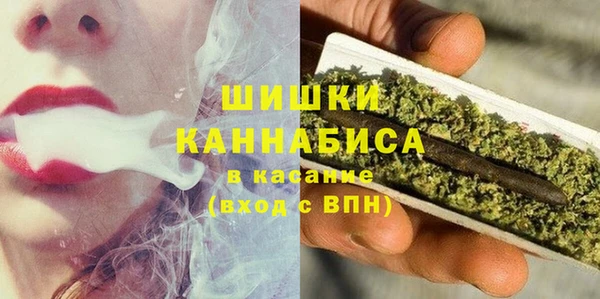 ПСИЛОЦИБИНОВЫЕ ГРИБЫ Тавда