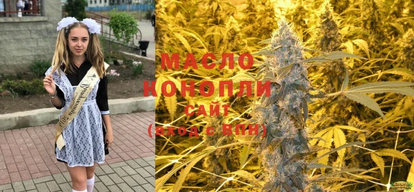 индика Михайловск