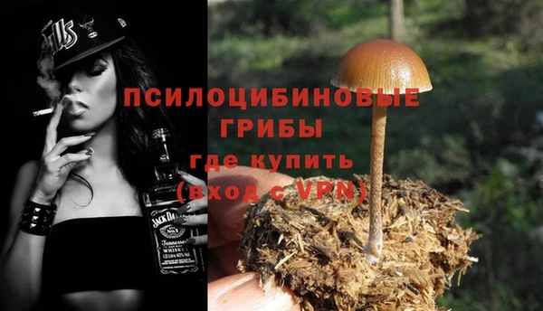 мяу мяу мука Сясьстрой
