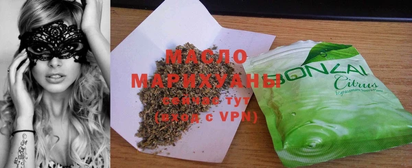 индика Михайловск