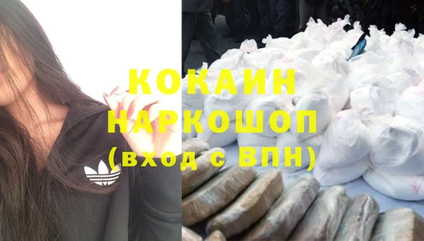 ПСИЛОЦИБИНОВЫЕ ГРИБЫ Тавда