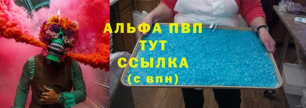 ПСИЛОЦИБИНОВЫЕ ГРИБЫ Тавда