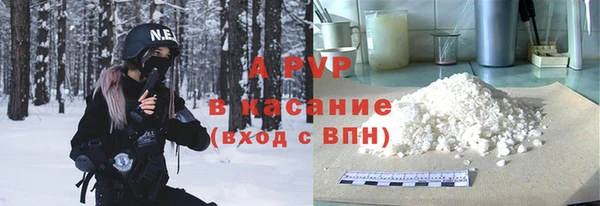 ПСИЛОЦИБИНОВЫЕ ГРИБЫ Тавда