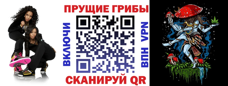 Псилоцибиновые грибы мицелий  где купить   Ессентуки 